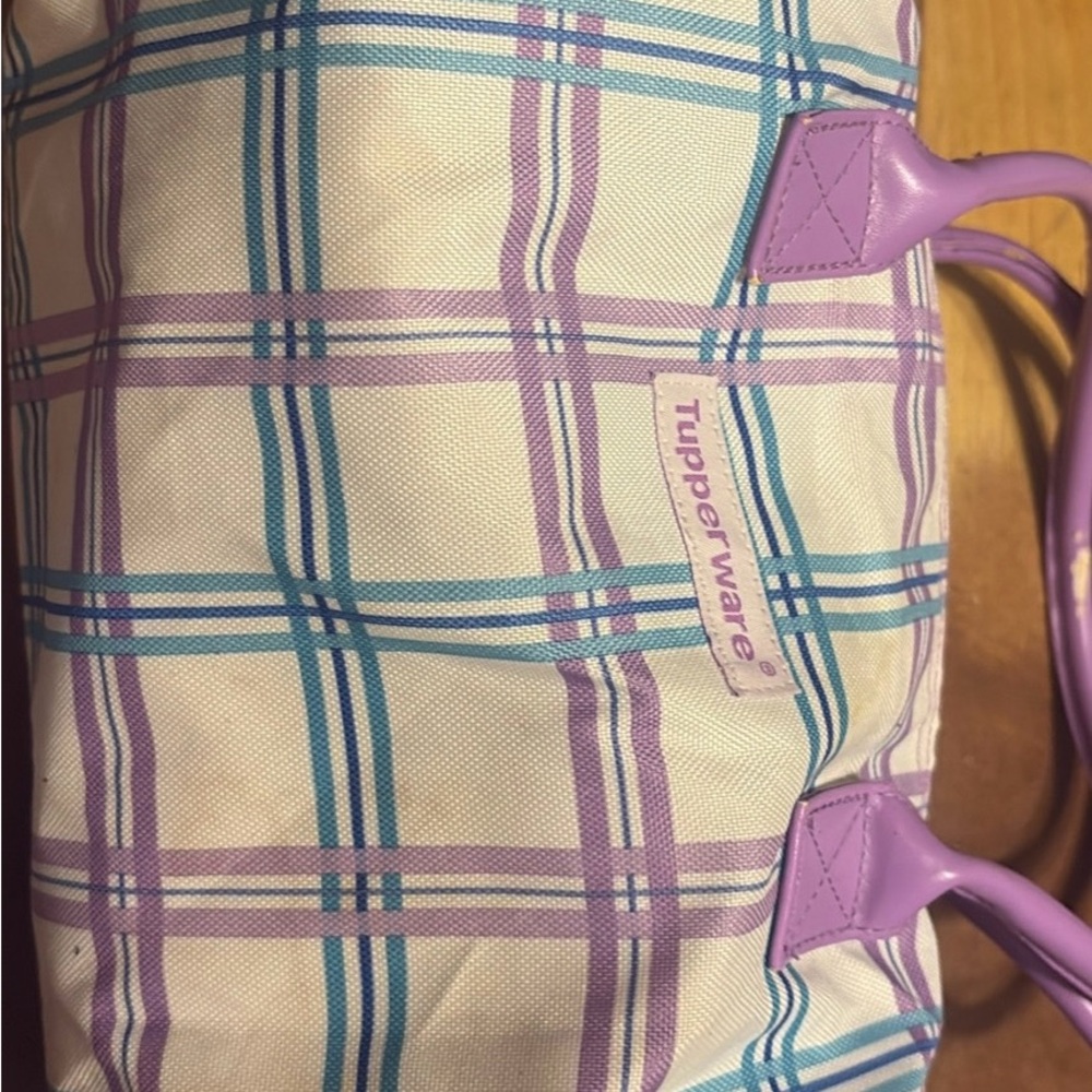 Tupperware Purple and Blue Plaid Women's Bag